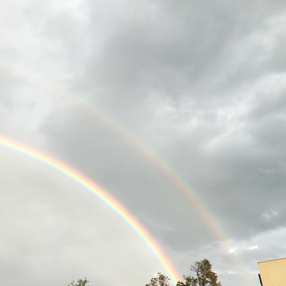 Meet your Posher, Zakie